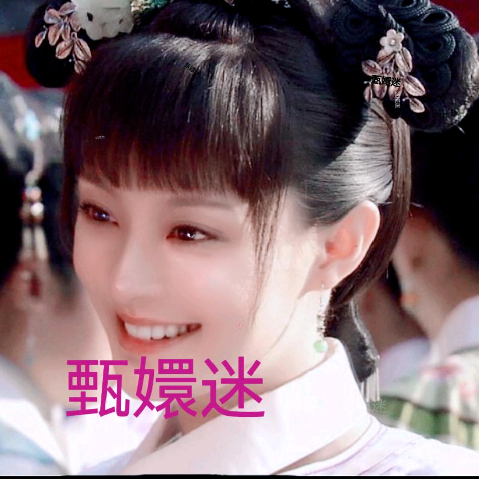 甄嬛迷