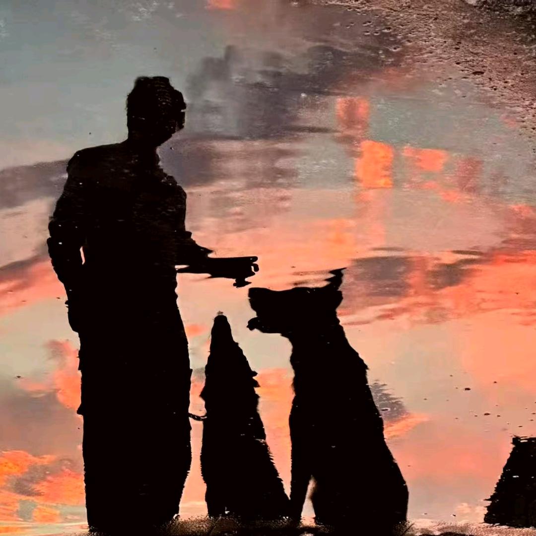 ow金牌导师WY（银牌播亚服金牌播国服）