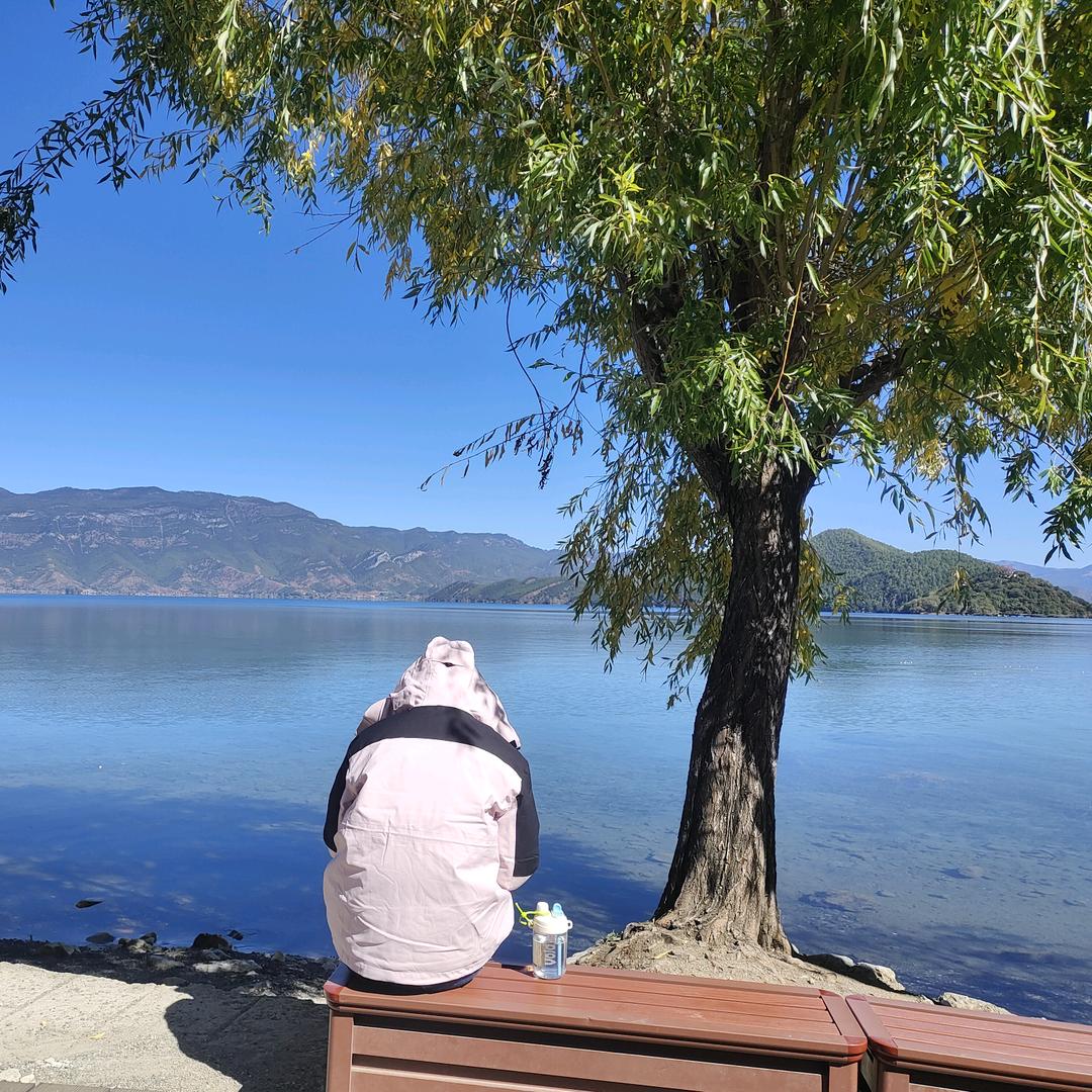 梦幻西游浩子（2020）