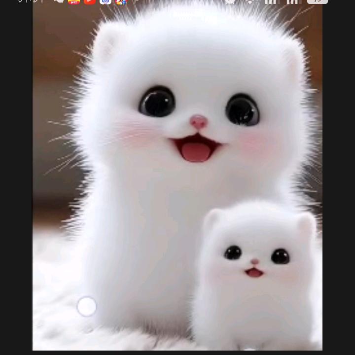 孔子🌹🌹🌹🌹🌹