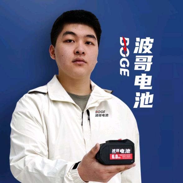 波哥电池