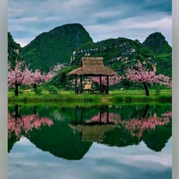 春木易缘