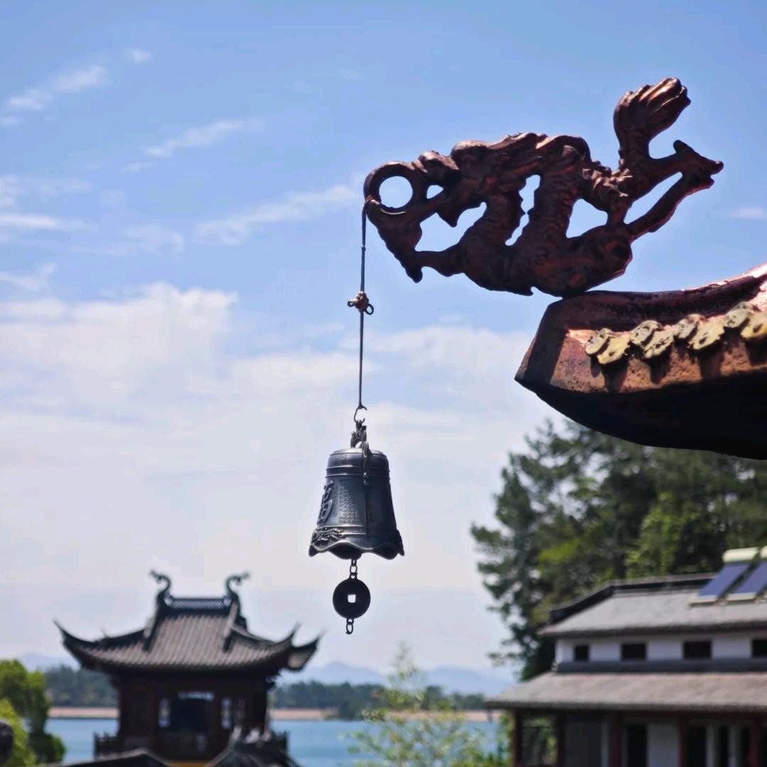 愈清师叔