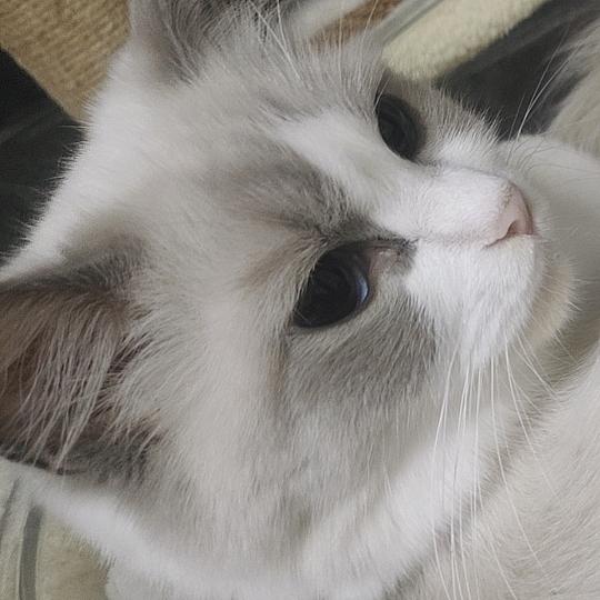 湘濡