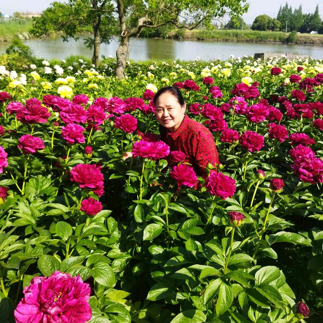 用户凤奶奶