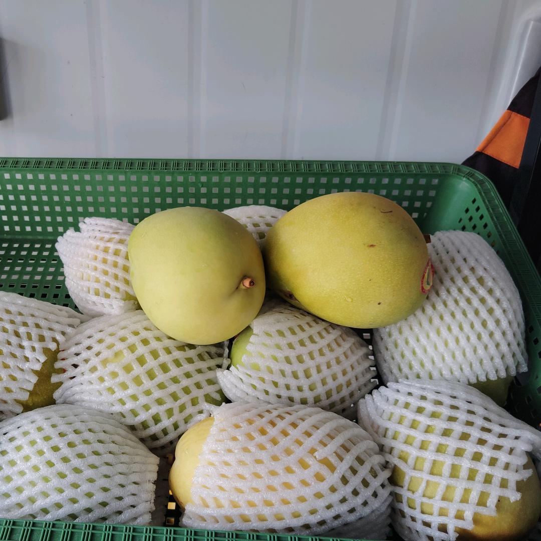 沈厝龙欣路口水果店