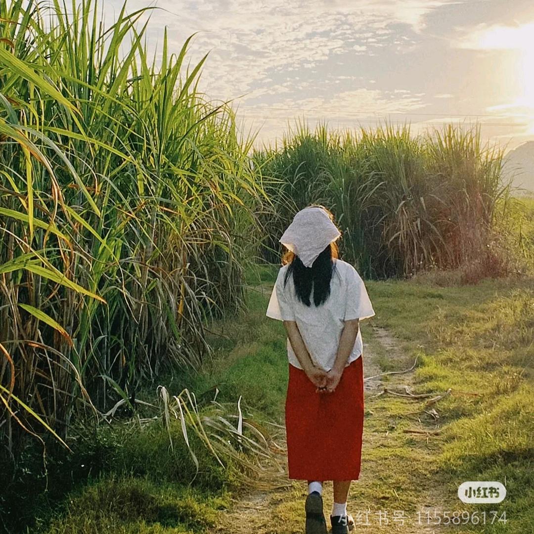 爱种植的小美