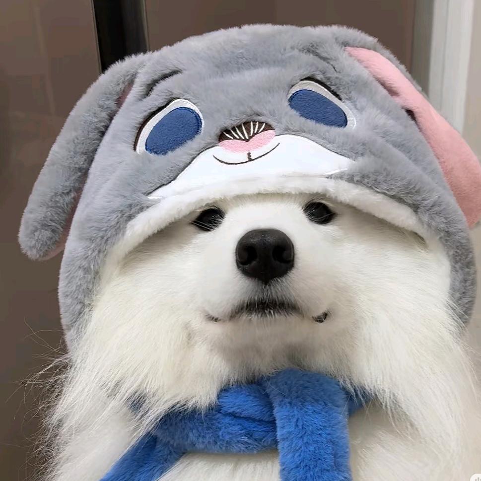 一只小团子🍡
