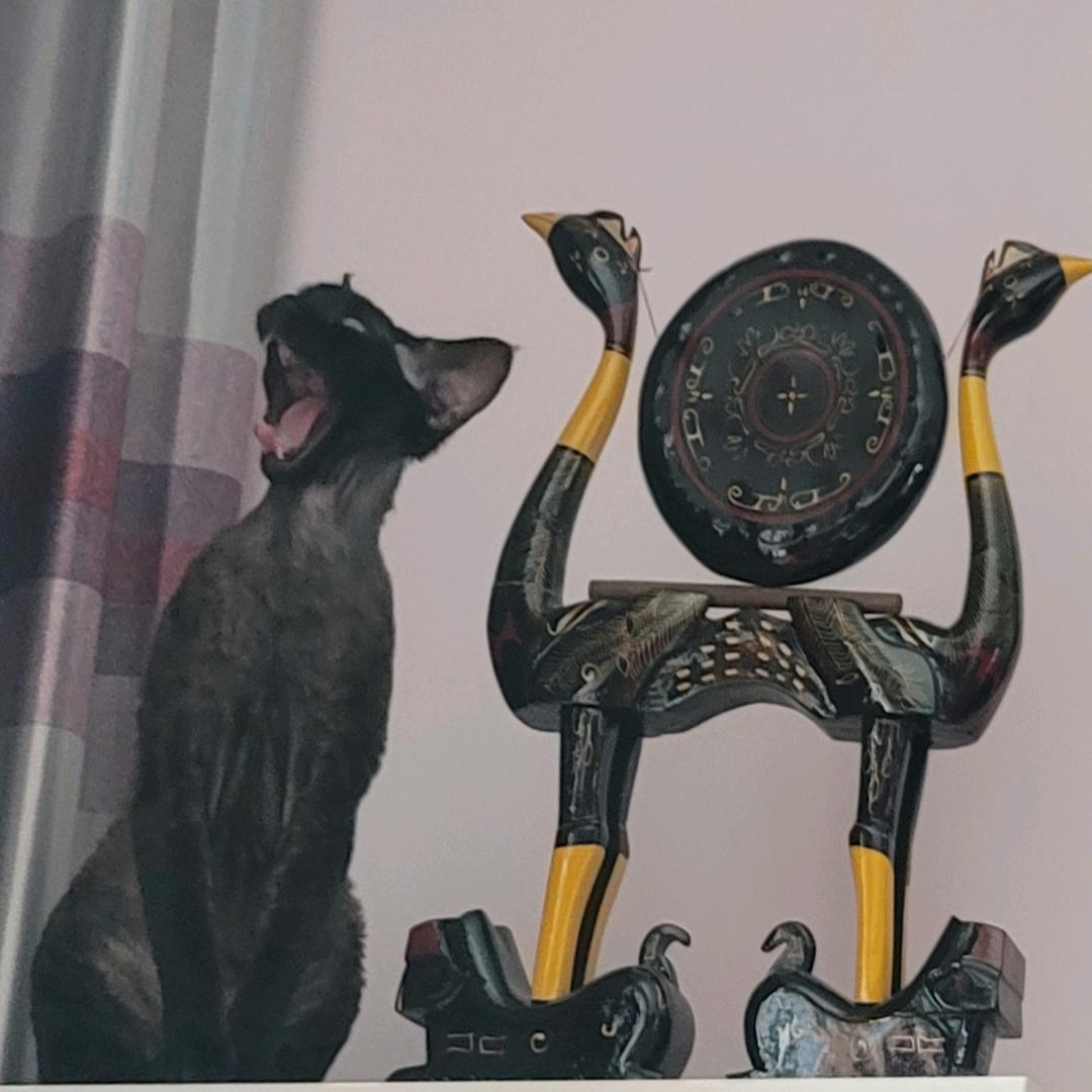 大圣三打粘人精。