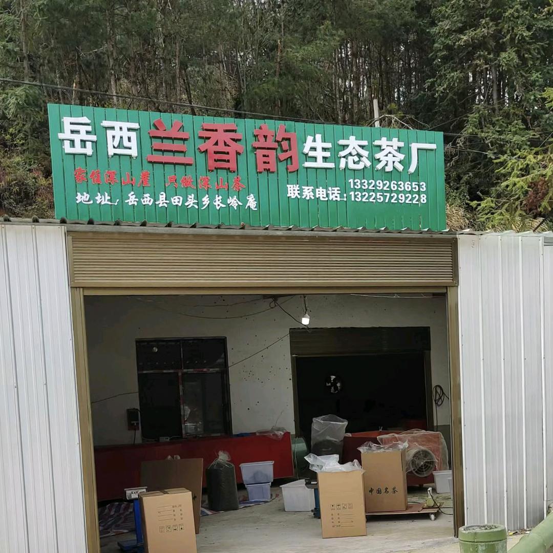 岳西田头兰香韵生态茶厂