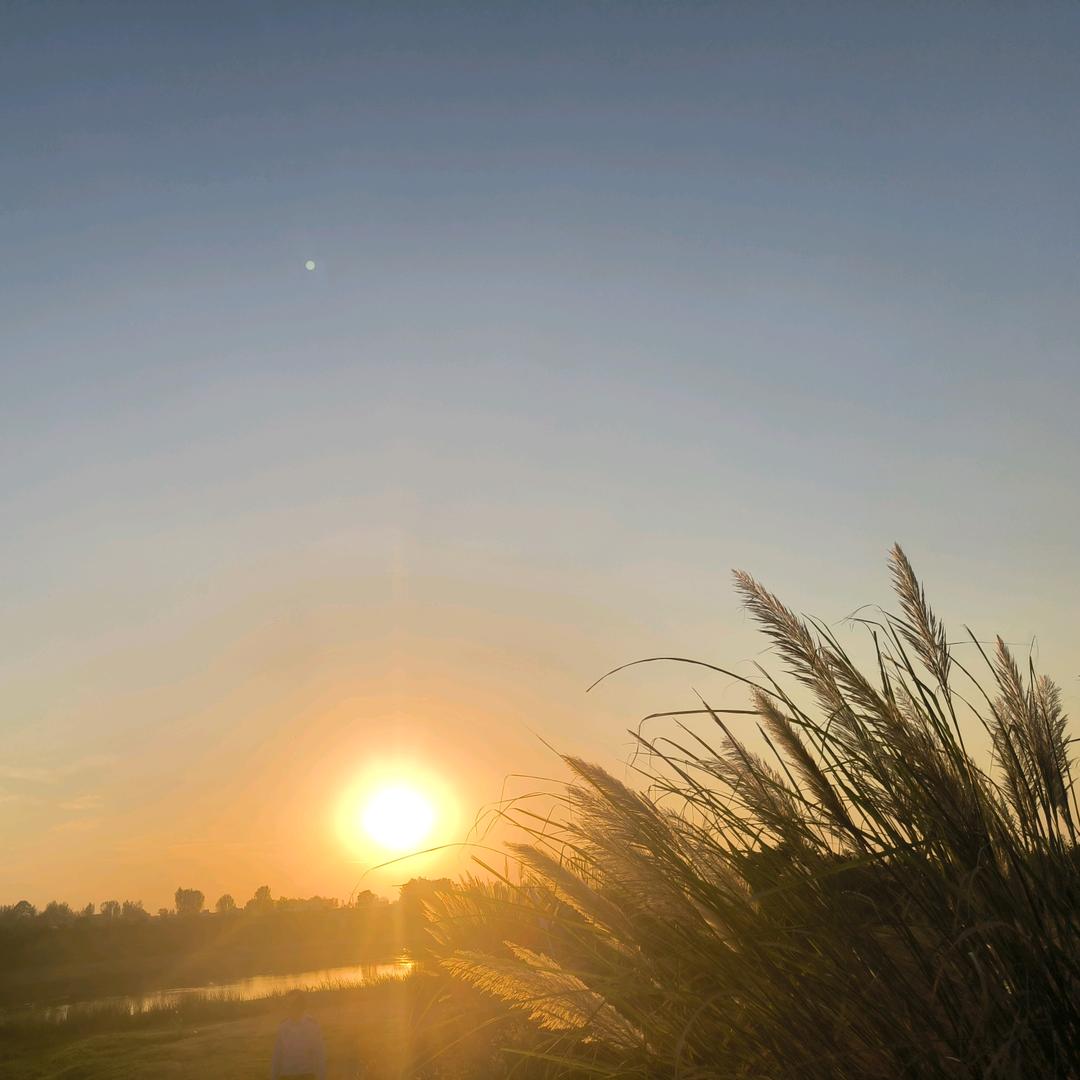 湍河的洋