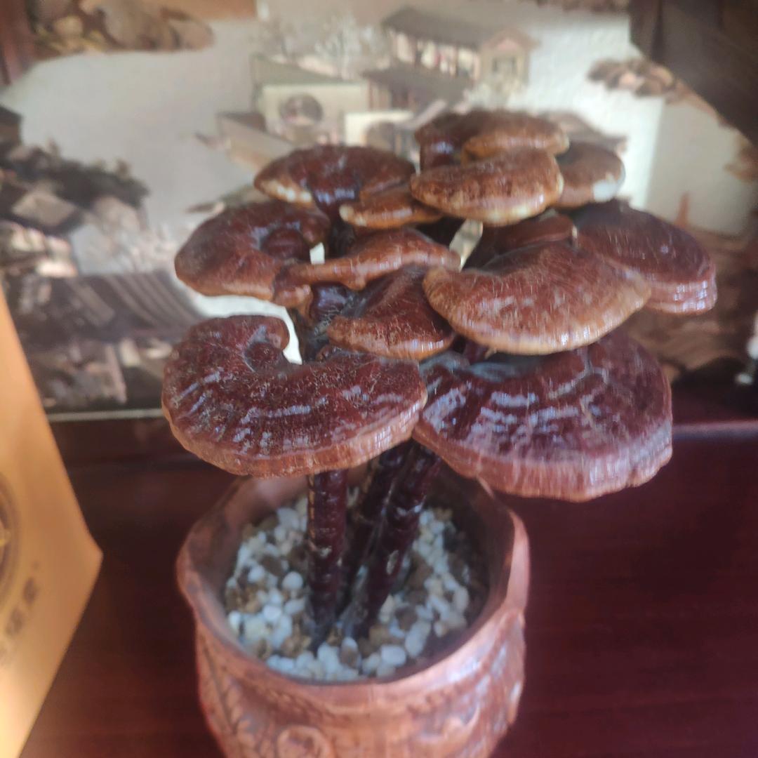 马鞍山龚庭鼻炎馆健康路八中旁