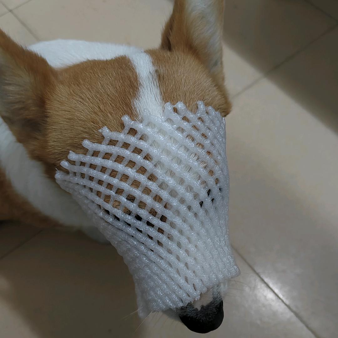 梦想做一条咸鱼