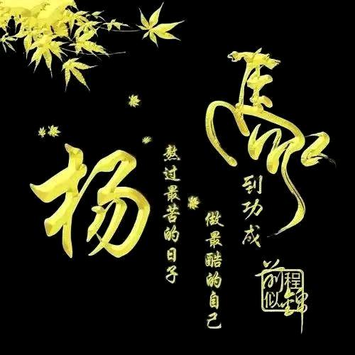 杨小杨