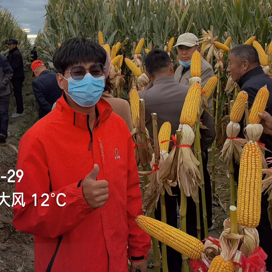 车老师讲农资