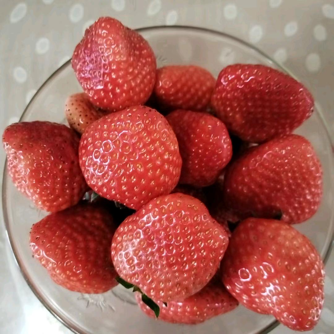 摘草莓