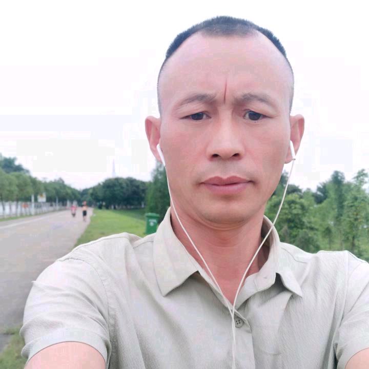 离婚平静流浪