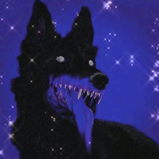 ⭐⭐