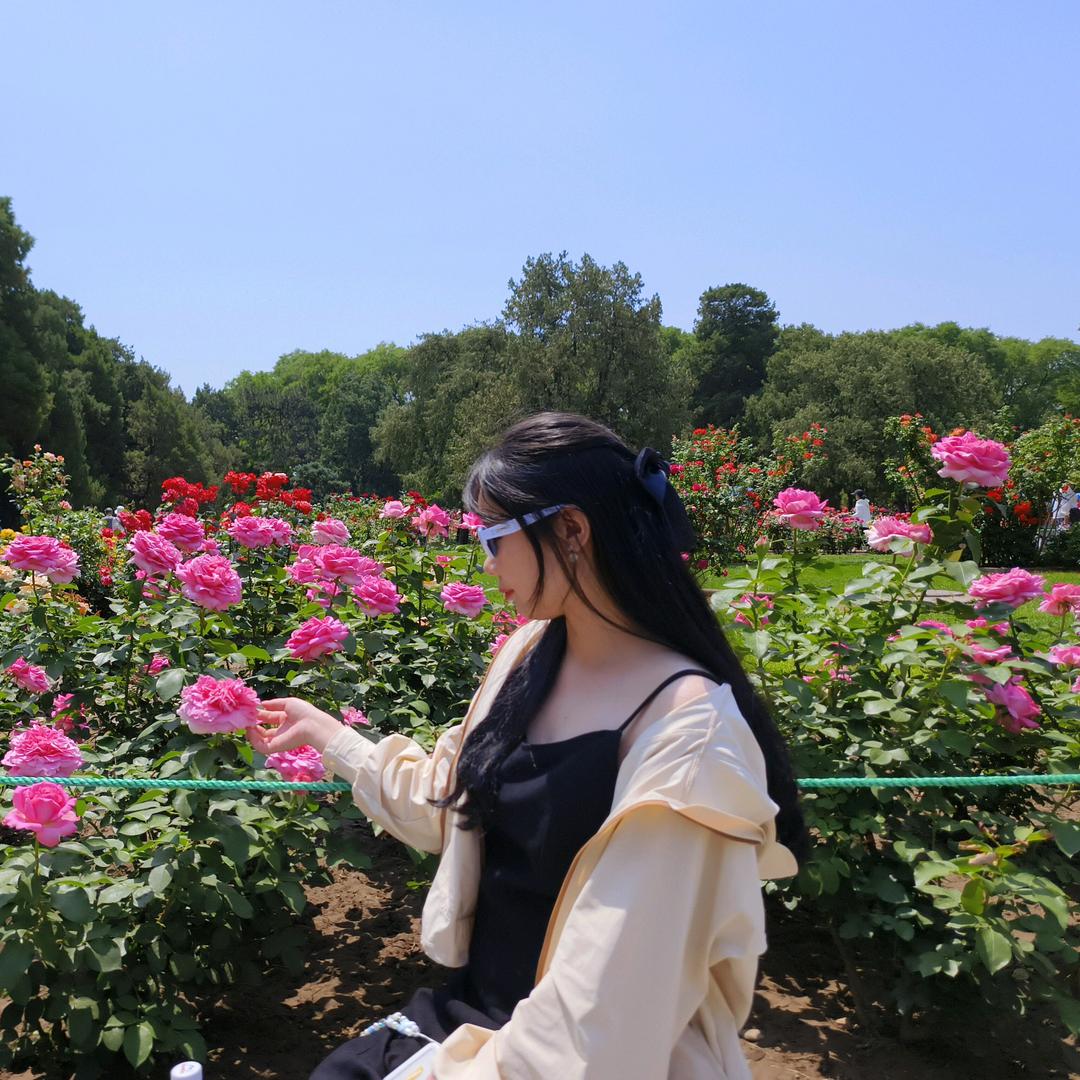 崽崽带你吃喝玩乐