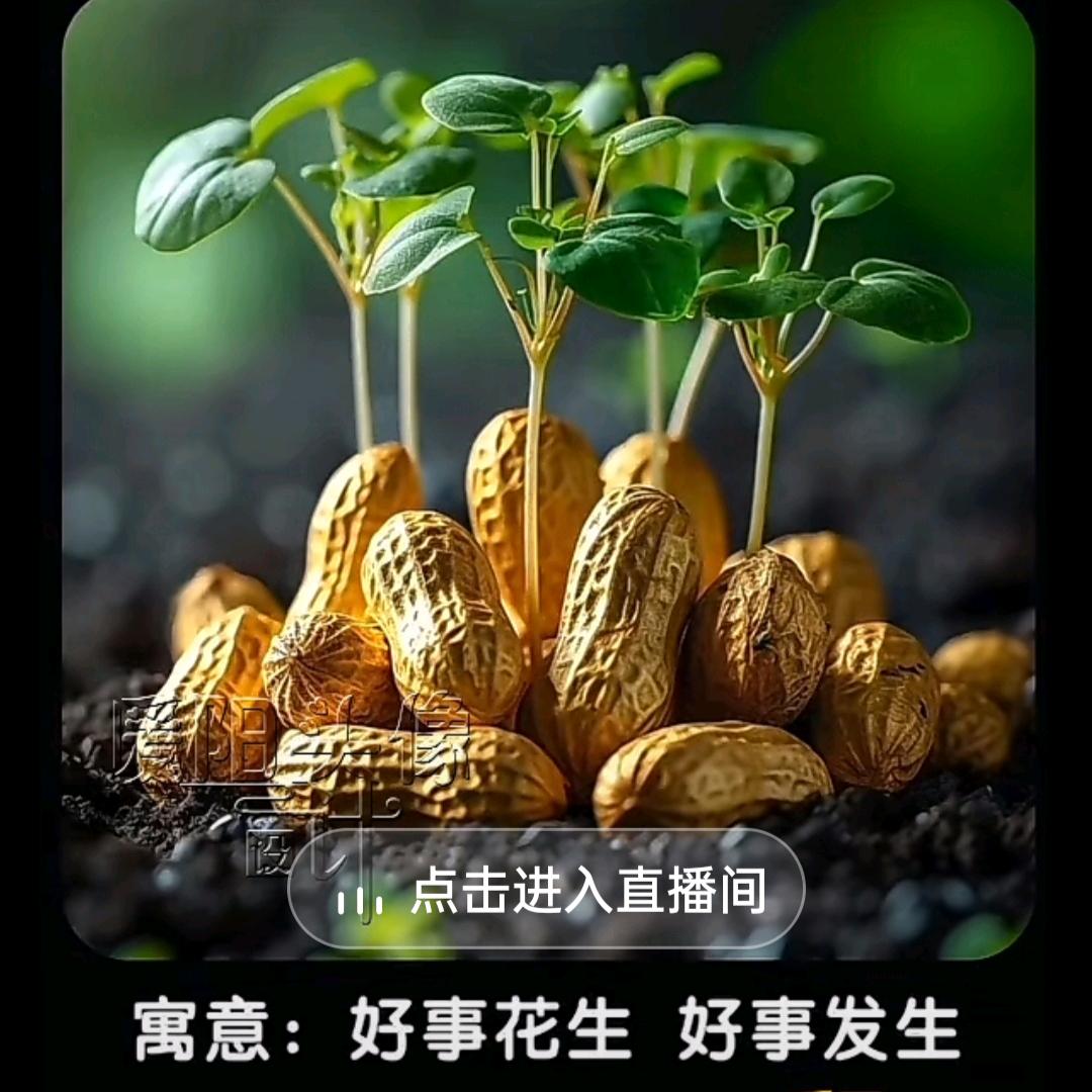 军军姐