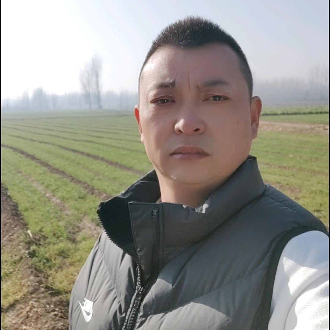 郑记内黄全羊
