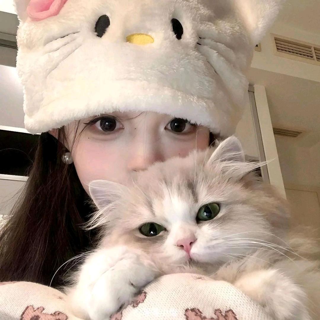 ^一只胖橘^头像