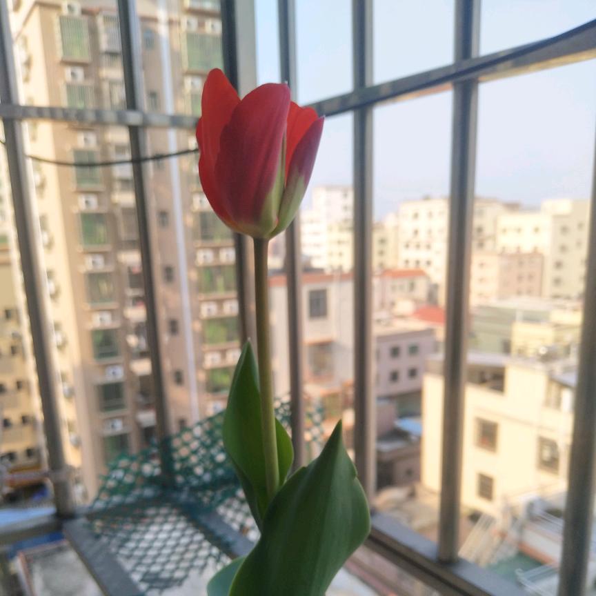 蓝灡