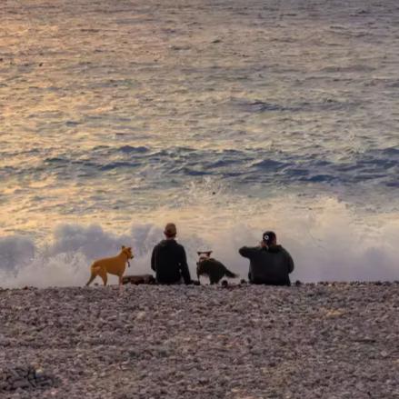 吃Potato不吐土豆皮