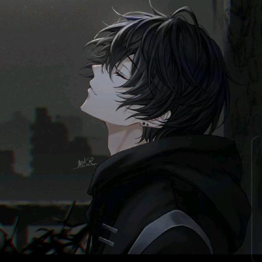 财神狸猫