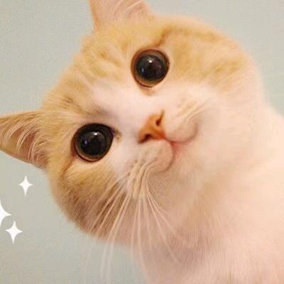 Loliy