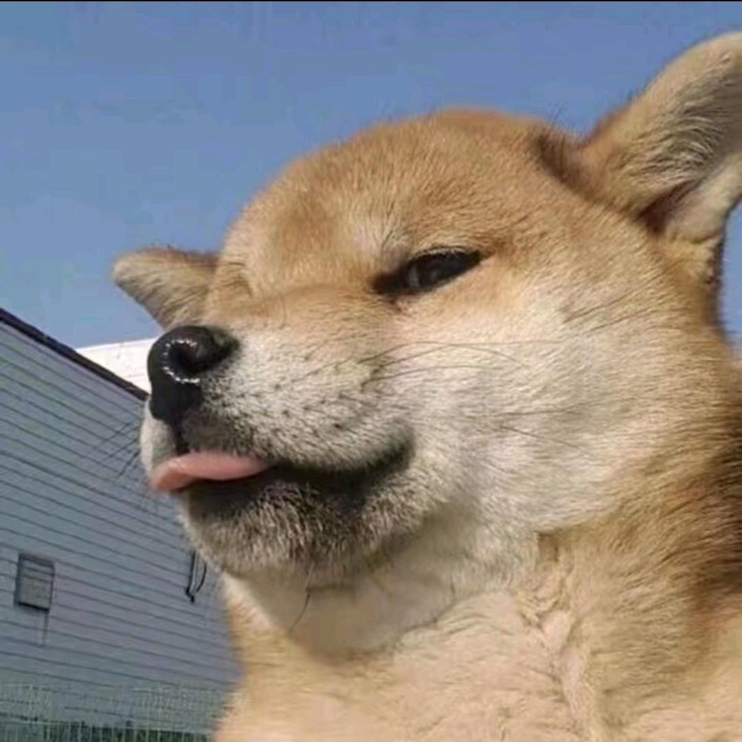 ╭╭↗你在偷看我吗ヅ☜