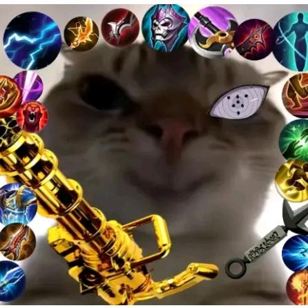 10年老熊申请出战。