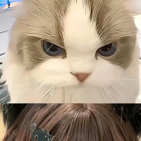 爱宝