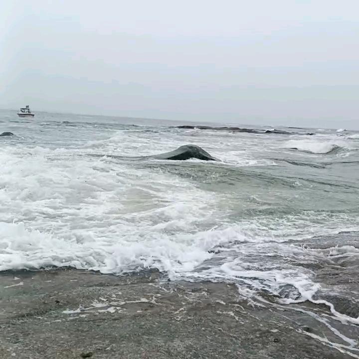 多音