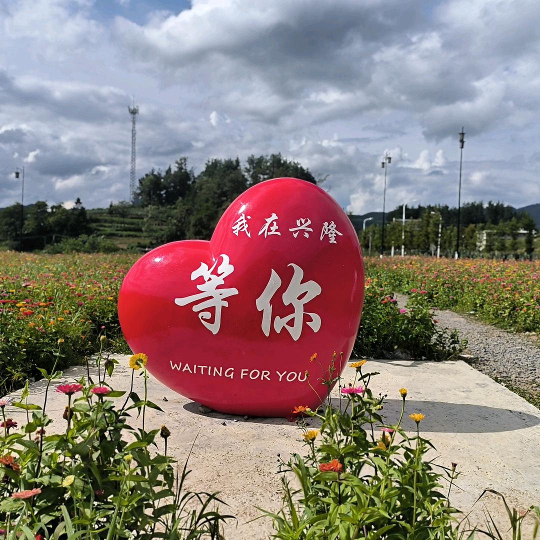 蓝灵鱼。杰