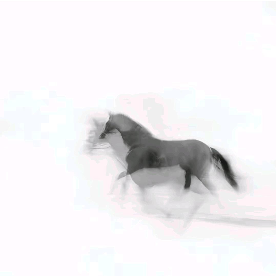 感谢你曾经来过