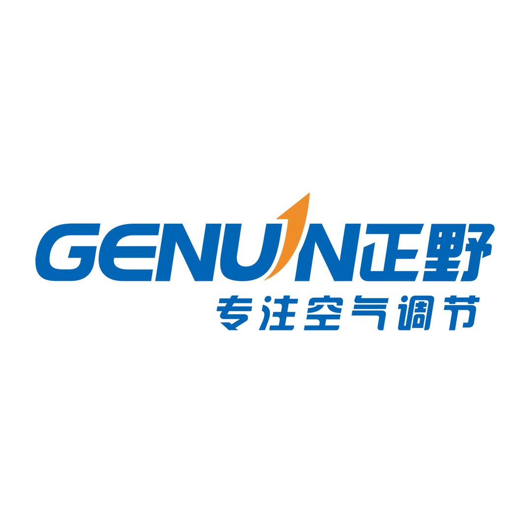 GENUIN正野