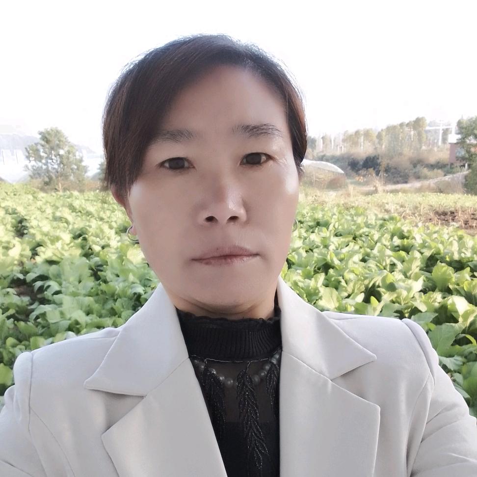 赵草药