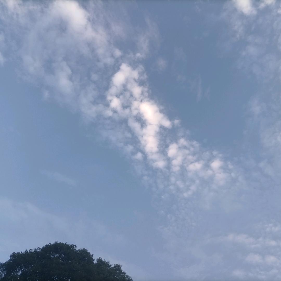 四川南充吴先生日记