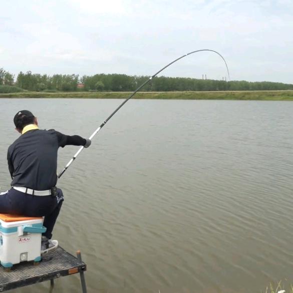 邓哥钓鱼🎣技巧