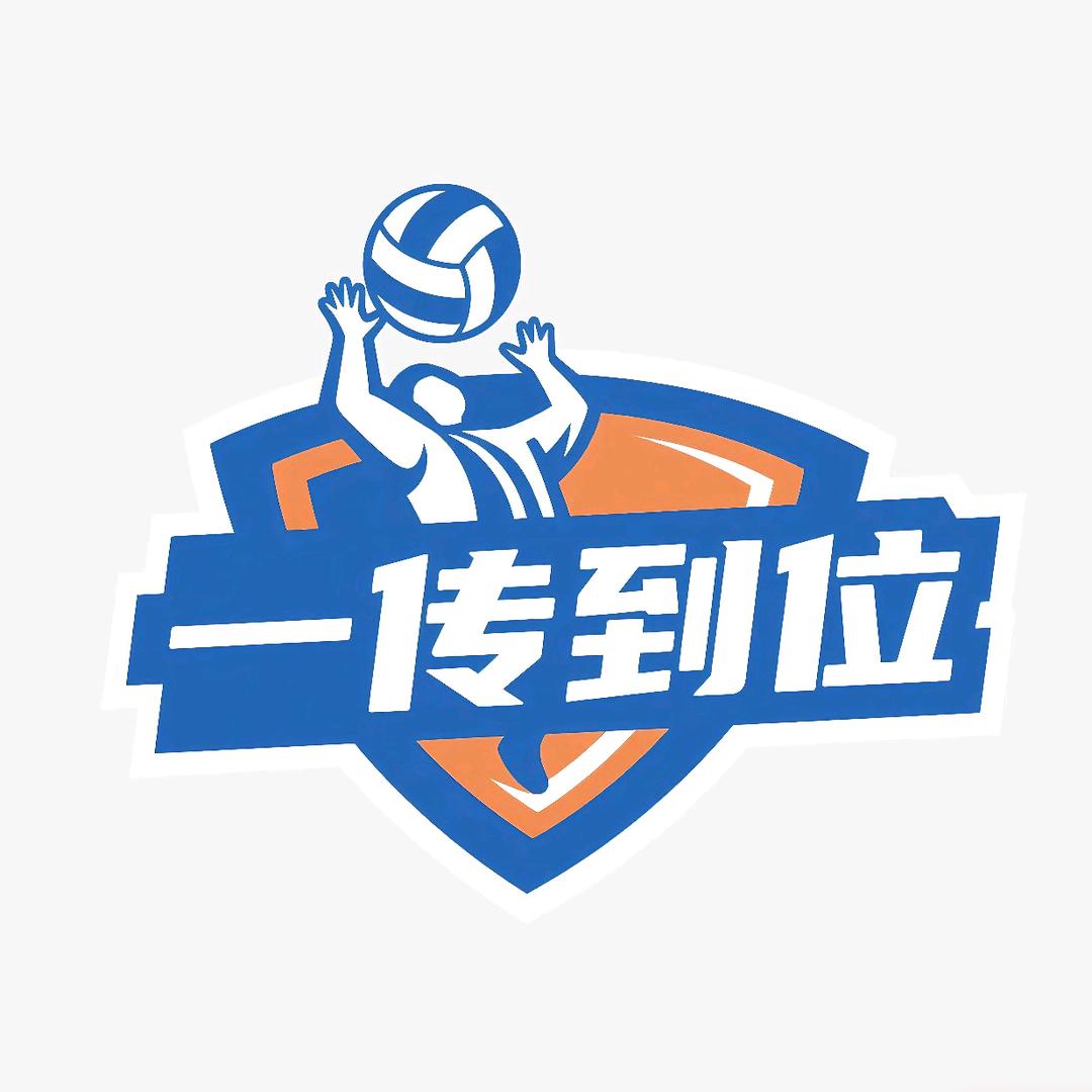 一传到位（星耀排球）