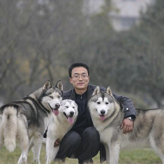 三狼吴