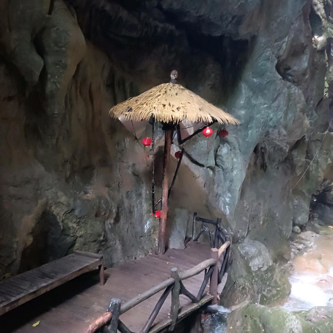 小小的鸟，