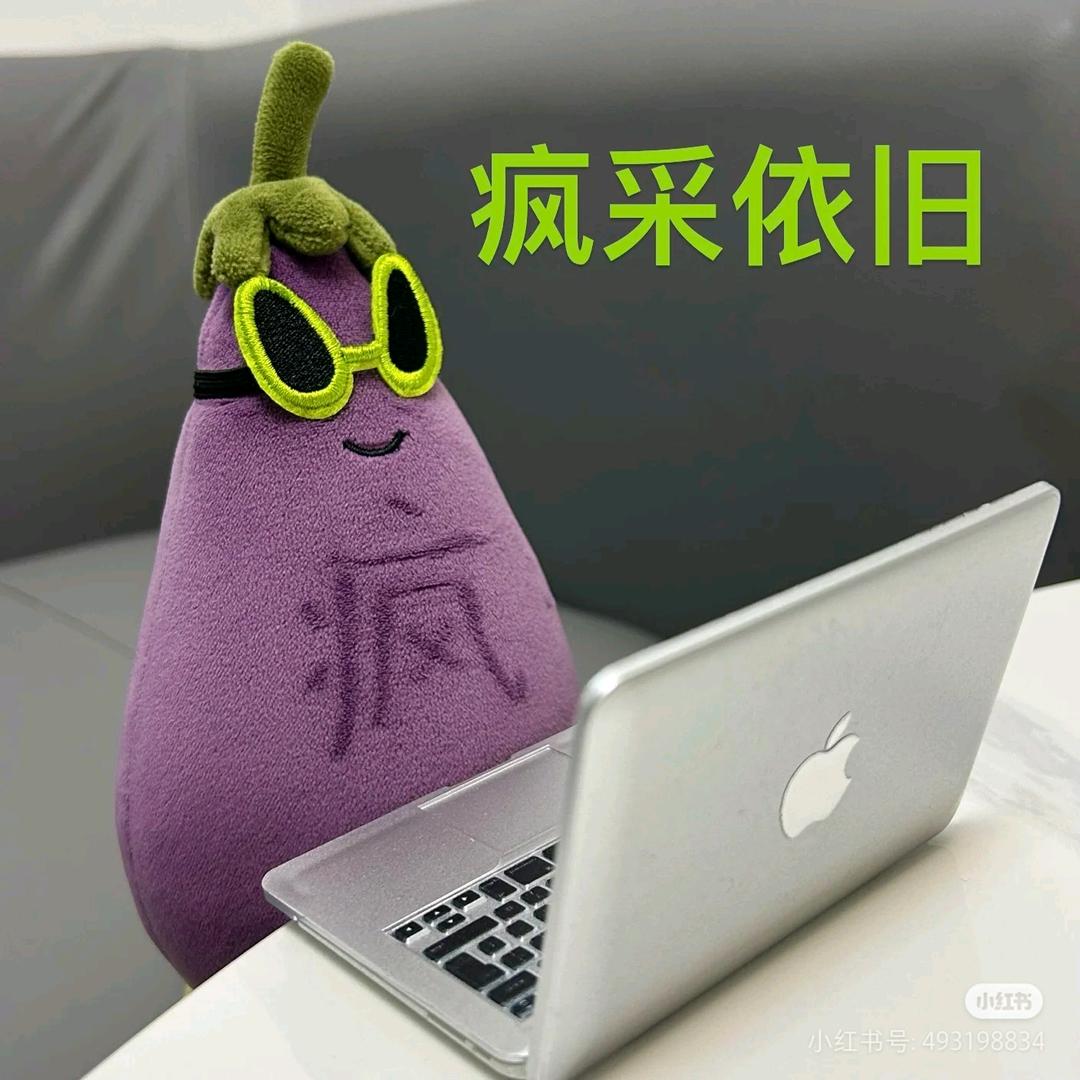 阿里嘎多的人生挑战