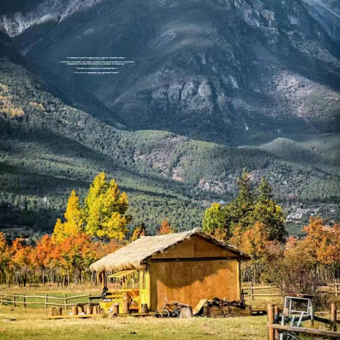 风生水起木制品有限公司