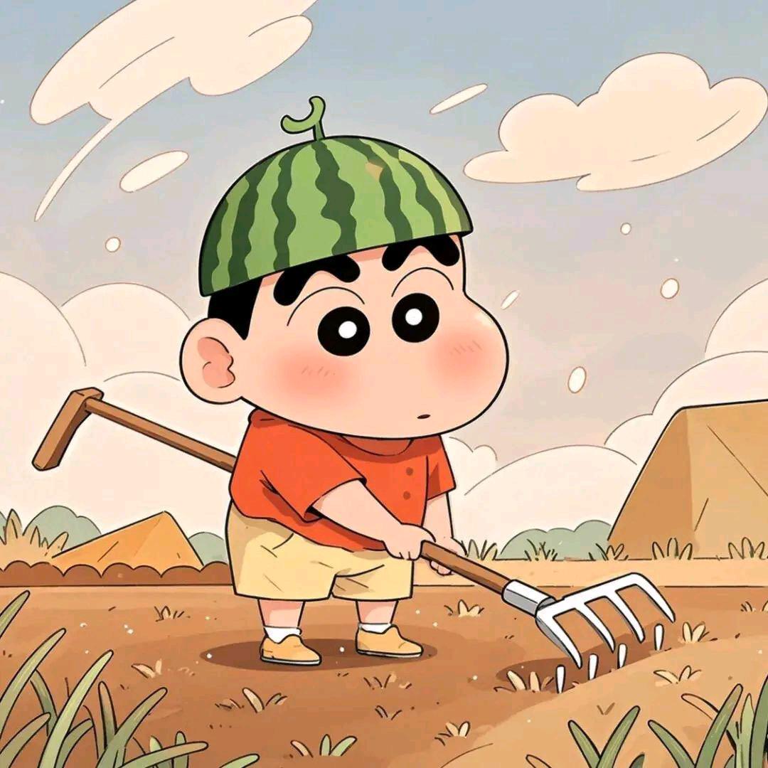 没吃过饭🍚🌱