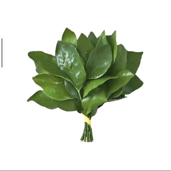 富贵荣华朝我来