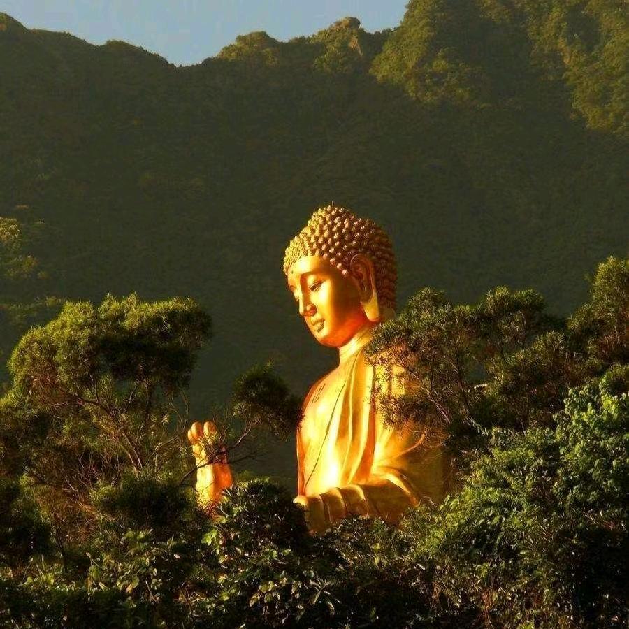 好运顺