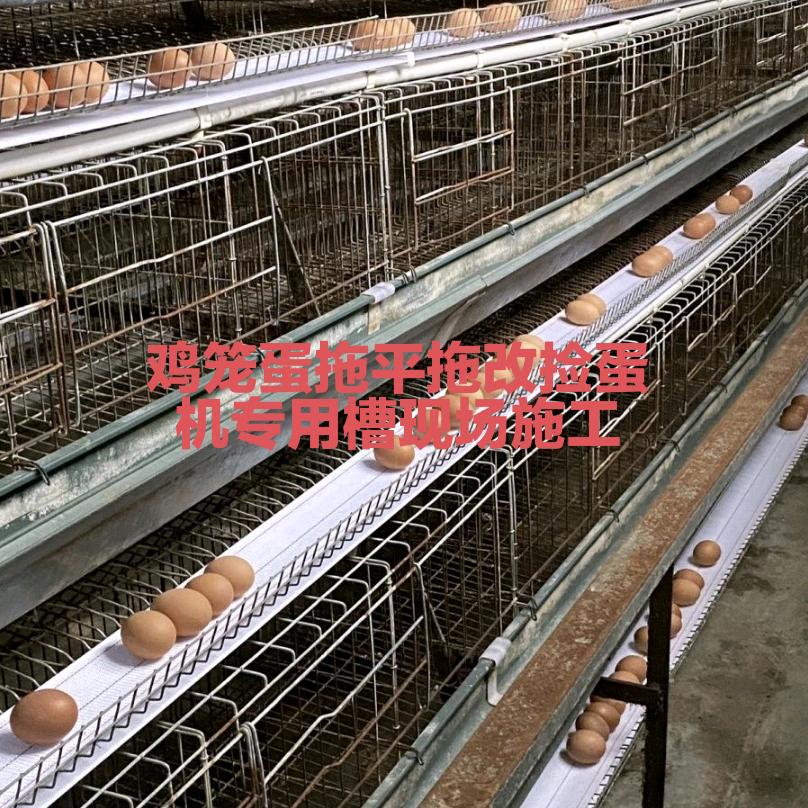 鸡笼蛋拖现场压槽专业设备可以出售合作加盟