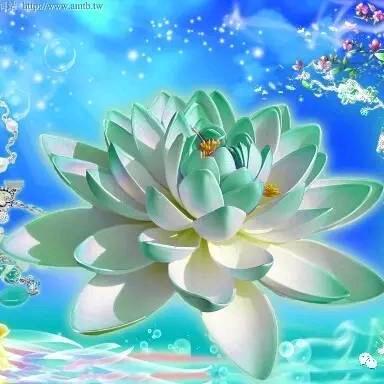 福心源素食——白雁秋